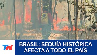 ALERTA EXTREMA Brasil enfrenta la peor sequía de su historia y los incendios no se detienen [upl. by Relyt273]