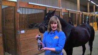 Absorbine UltraShield EX  Fly Spray For Horses [upl. by Thirzia907]