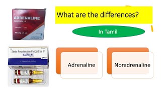 ADRENERGIC SYSTEM BASICS DIFFERNCE BETWEEN ADRENALINE AND NORADRENALINE IN TAMIL PHARMACOLOGY [upl. by Noryv]