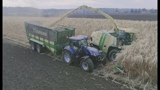 Elefantengras häckseln  Holz hacken  Krone BIG X 770  New Holland  Agrarprofi  Agriculture [upl. by Tnirb440]