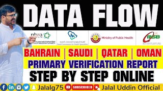 Data Flow Complete Process  How to Verify Documents by Dataflow [upl. by Horlacher644]