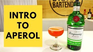 Intro to Aperol Cocktail Recipe by Audrey Saunders Pegu Club [upl. by Hnamik320]