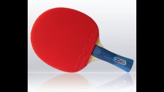 Test Tischtennis Schläger SpinLord quotLion x SpinLordquot  Tischtennischläger für Wettkampfeinsteiger [upl. by Phillane568]