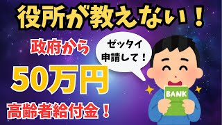 【有益スレ】政府が高齢者へ50万円支給！申請しないと貰えない給付金・助成金制度！【ゆっくり解説】 [upl. by Aninotna]