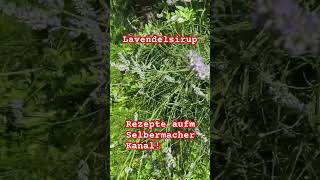 Lavendel Rezepte [upl. by Bobine]