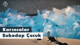 Karıncalar  Video  Şubadap Çocuk [upl. by Dagley]