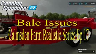 More Rain Fs22 Calmsden Farm Realistic Series Ep 17 [upl. by Aerbas]