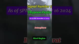 Catanduanes Bicol Region binayo na naman ng bagyo November 16 2024 5PM thypoonpepito shorts short [upl. by Einaej]