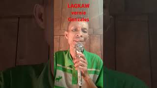 Lagkaw Vernie Gonzales karaoke short video [upl. by Jinny]