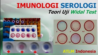 Teori Uji Widal Test  Salmonella typhi dan paratyphi  Demam Tifoid  Imunologi Serologi  Slide [upl. by Yvette]