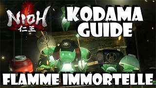 NIOH  Kodama Location Guide  Flamme Immortelle Mission 12  Immortal Flame  PS4 DraphHD [upl. by Rafter]