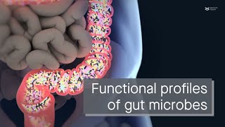 Four distinct functional profiles in the human gut microbiome [upl. by Airual]