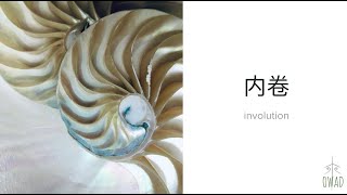 Involution 内卷  S4E  OWAD Learning Mandarin Chinese [upl. by Naerb]