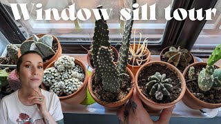 HOUSE PLANT TOUR Plants That Live On My WINDOW SILLS [upl. by Hadihahs]