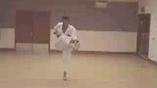 Kyokushin Karate Kata Pinan 5 Go [upl. by Aicnelev]