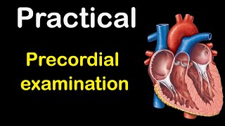 Cardiology Precordial examination [upl. by Seraphine606]