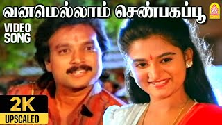 Vanamellam Shenbagapoo  2K Video Song வனமெல்லாம் செண்பகப்பூ  Nadodi Pattukkaran  Karthik Mohini [upl. by Atnaloj755]