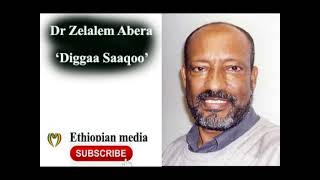 Zelalem Abera Diggaa Saaqoo oromo poem [upl. by Llertal900]