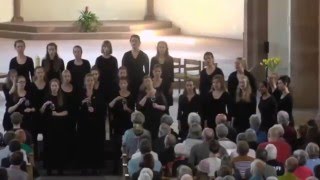 Netherlands Youth ChoirNiederlande Spring EJCF Basel 2016 [upl. by Otrevlig85]