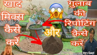 खाद मिक्स कैसे करें  गुलाब की रिपोटिंग कैसे करें  BonsaiGardenNursery  Contact Now 👇 [upl. by Atsirak]