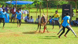 தரமான காளை Vs தரமான வீரர்கள் Kandanipatti Sivaganagai vadamanjuvirattu [upl. by Stoddard724]