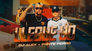 LLEGUE YO  PONTE PERRO DJ ALEX Video Oficial [upl. by Sarazen190]