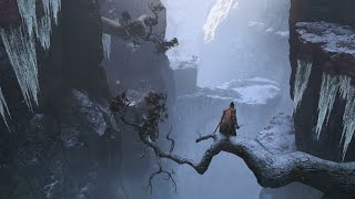 Sekiro  Guardian Ape Duo Boss Fight [upl. by Laure878]