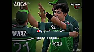 Cricket tik tok video2023😈🎉 cricket tik tok video2023😈😱🎉 nojawan pak teamind team [upl. by Harday69]