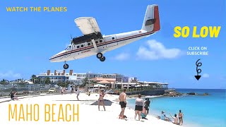 Thrilling Plane Landings at St Martin Airport A MustSee Experience [upl. by Yenots]