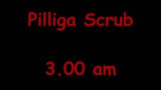 Pilliga Scrub 300 am [upl. by Thorne]