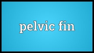 Pelvic fin Meaning [upl. by Ahsilac]