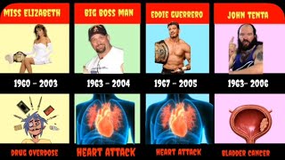 WWE Superstars Who Have Died Compare amp Learn [upl. by Trahern36]