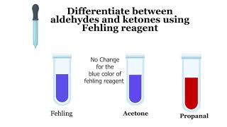 How to Differentiate Between Aldehydes And Ketones Fehlings and Tollens reagents [upl. by Eenobe]