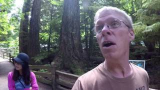 Vancouver Island Big Trees and Goats on a Roof [upl. by Ahsasal]