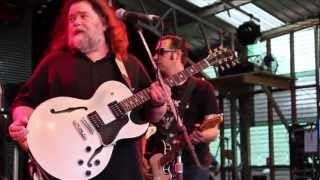 Roky Erickson  live at Golden Plains 2012 [upl. by Darom]