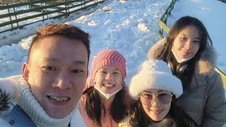 Winter Trip Korea 2023 Part 2  Alpensia Ski Yongpyong Ski Balwangsan Mt Daegwallyeong Sheep Farm [upl. by Chemash]