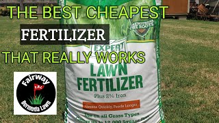 Fertilizing after Verticutting my Lawn [upl. by Relyk]