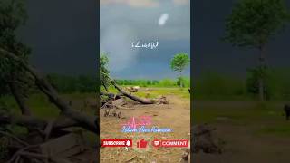 islam allah youtubeshorts islamicstatus peerajmalrazaqadri shorts [upl. by Atoked]