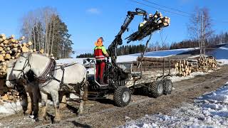 Horse Logging with Palms Grapple Loader and Log Trailer [upl. by Arres]