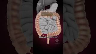 Why Does Constipation Happen shorts viralvideo  creativelearning3d [upl. by Dix]