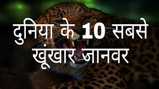 दुनिया के 10 सबसे खूंखार जानवर  The worlds 10 most dreaded animals  Hindi Education [upl. by Madaras]