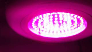 PRAKASA® 90W Tri Band LED Grow Light [upl. by Oeak406]