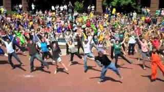 Harding University Spring Sing Flash Mob [upl. by Mcgaw]