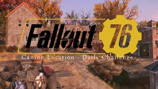 Canine Locations for Daily Challenge  Fallout 76 [upl. by Magda]