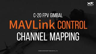 XF C20 Channel Mapping MAVLink Control [upl. by Simona432]