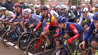 Cyclocross Merksplas Men Elite 50fps 16 Nov 2024 [upl. by Iny]