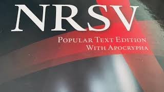 Sirach or Ecclesiasticus NRSV Bible Chapter 20 Apocryphal Audiobook [upl. by Akerdna758]