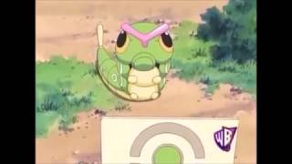 Caterpie Pokédex Entry  Caterpies Big Dilemma [upl. by Yllom]