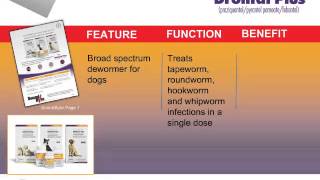 Bayer Animal Health  Drontal Plus SoundByte Video [upl. by Baler]