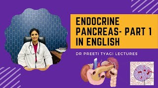 ENDOCRINE PANCREAS PART 1  in English [upl. by Emmi453]